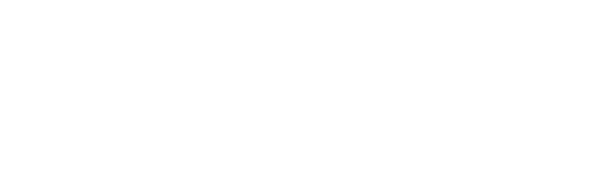 Carrier Software Logo